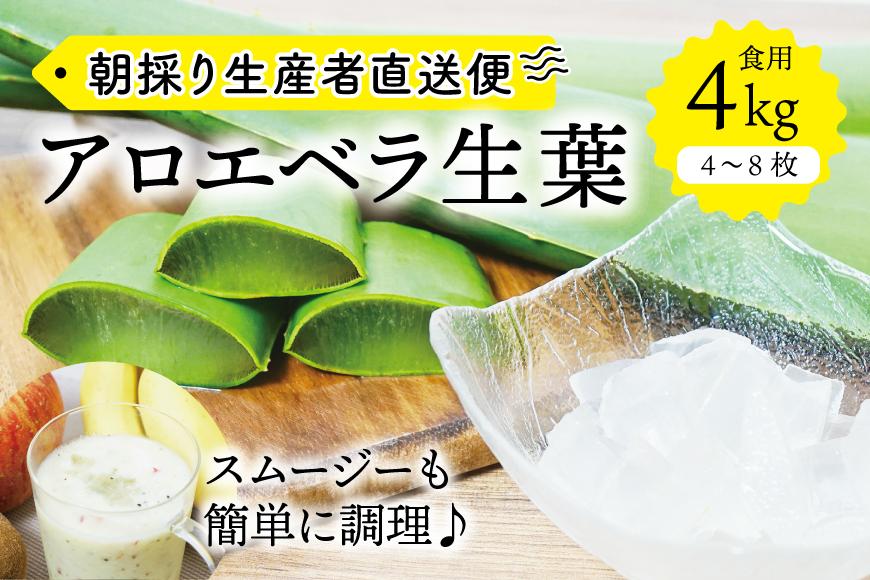 【食用】朝採り アロエベラ生葉 4kg（4枚～8枚）3年物　宮城県産