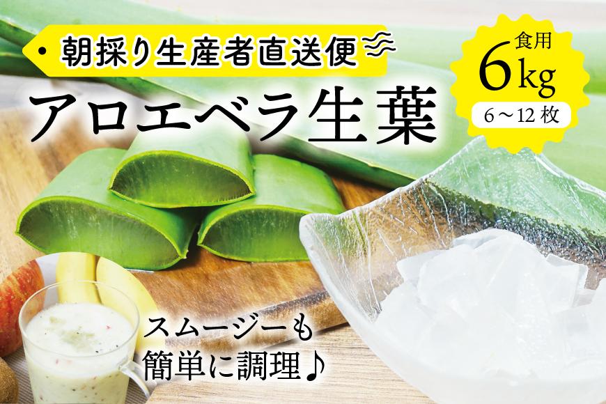【食用】朝採り アロエベラ生葉 6kg（6枚～12枚）3年物　宮城県産
