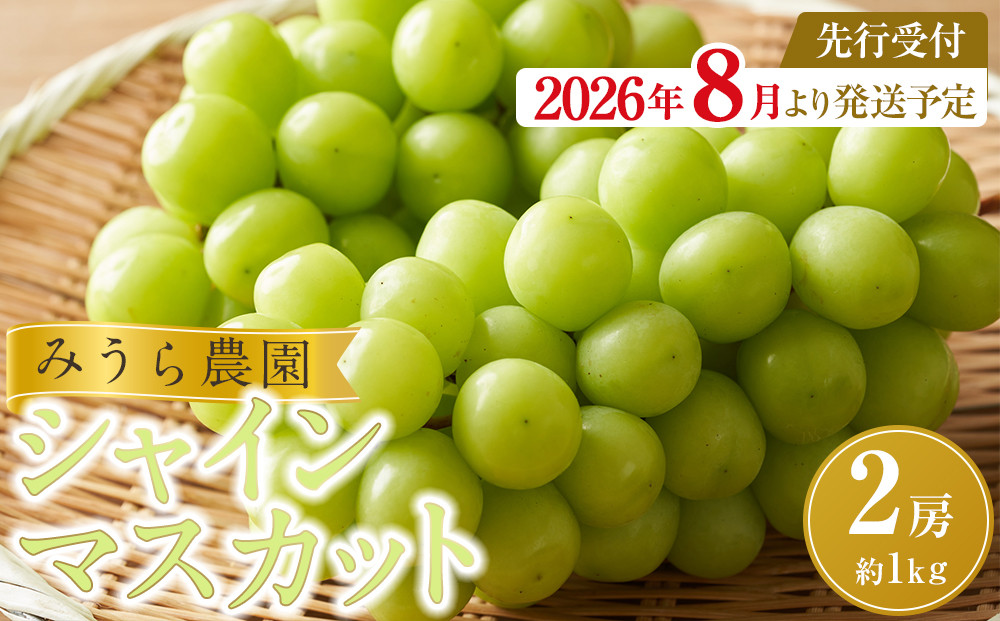 【2026年発送分先行予約】シャインマスカット ２房（約１kg）【2026年9月上旬以降順次】
