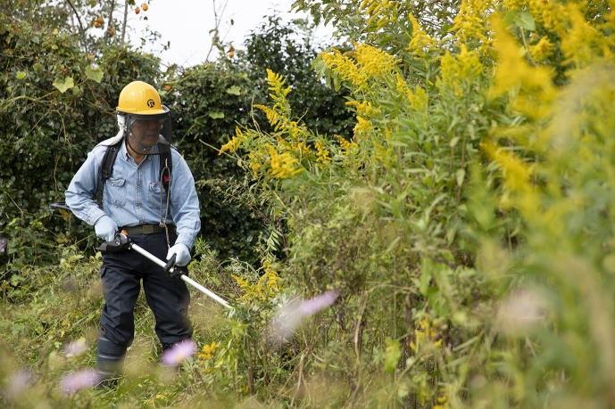 空き家管理作業B（見回り・報告・簡易作業）約2時間