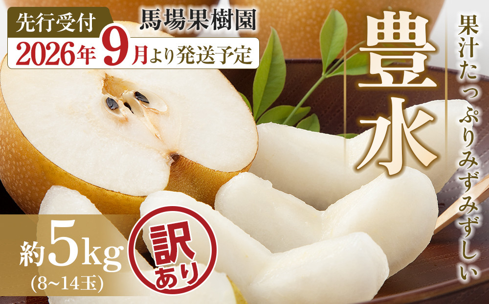 【2026年先行予約／訳あり】【馬場果樹園】梨「豊水」約5kg（8～14玉入）順次発送