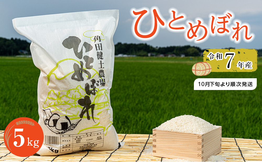 令和7年産 ひとめぼれ　5kg×1袋 ｜7年産米 新米 ひとめぼれ 宮城県角田市産 米 コメ 白米 精米 角田健土農場
