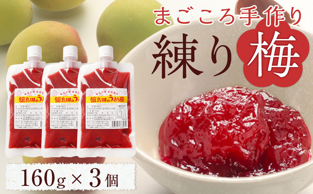 【ふるさと納税】宮城県角田産【無添加】まごころ手作り練り梅(160g)×3個
