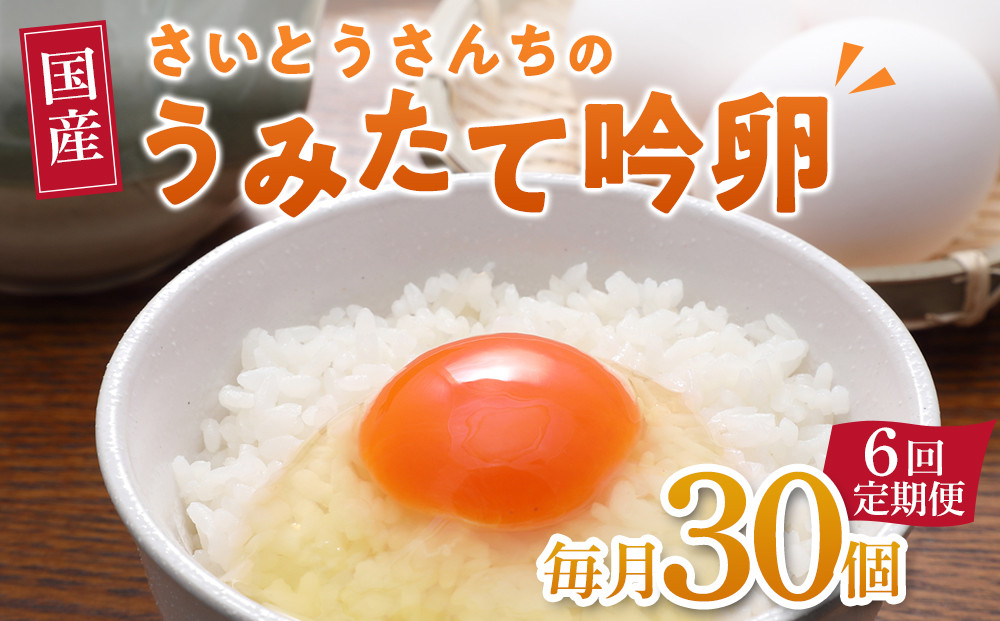 【6回定期便】さいとうさんちのうみたて吟卵　30個入り