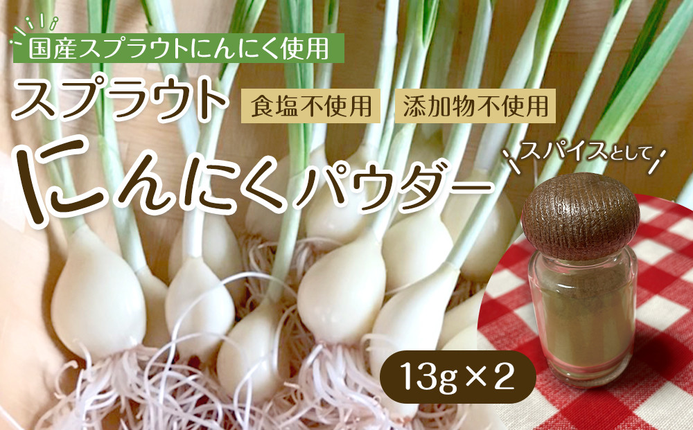 スプラウトにんにくパウダー13g×2 　国産スプラウトにんにく使用