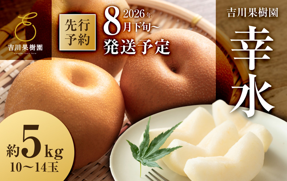 【2026年発送分先行予約】幸水 約５kg（10～14玉）8月下旬～順次発送【吉川果樹園】