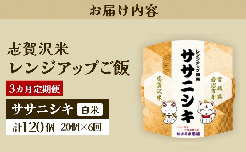 【 令和7年産】6ヵ月定期便 ササニシキ 志賀沢米 レンジアップごはん 20個セット お米 米 精米 パックごはん