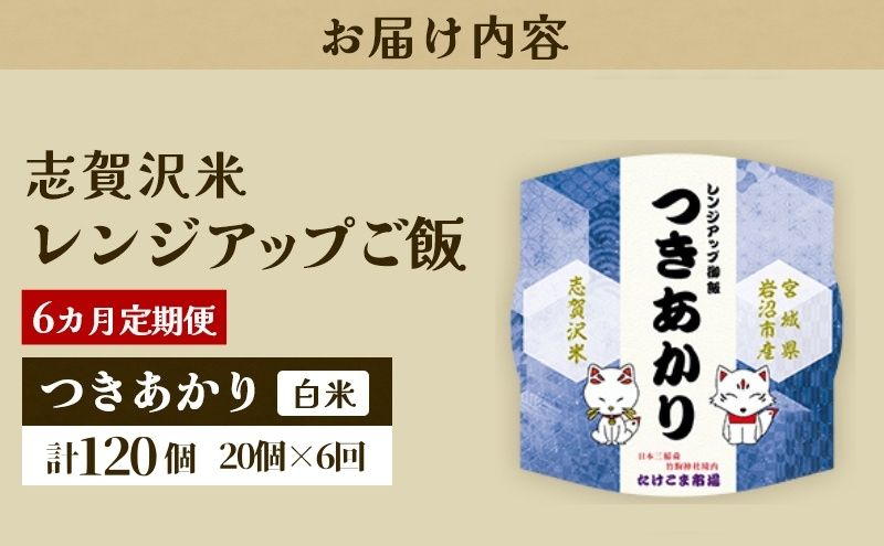【 令和7年産 】6ヵ月 定期便 つきあかり 志賀沢米 レンジアップごはん 20個 セット お米 米 精米 パックごはん
