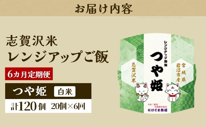 【 令和7年産 】6ヵ月 定期便 つや姫 志賀沢米 レンジアップごはん 20個 セット お米 米 精米 パックごはん