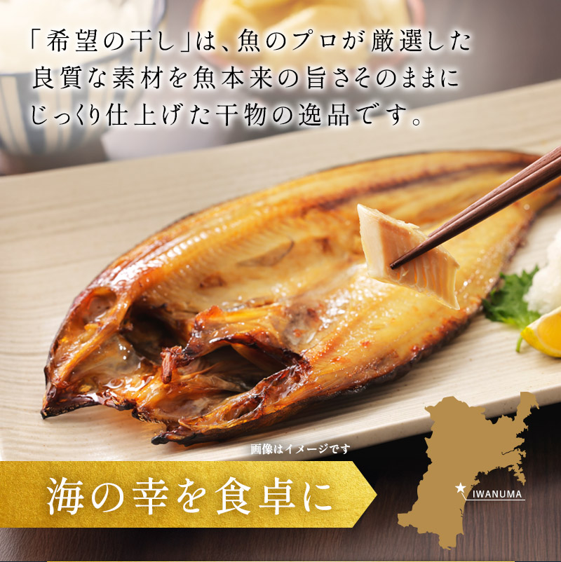 『希望の干し』 厳選 干物 Aセット 詰め合わせ ひもの