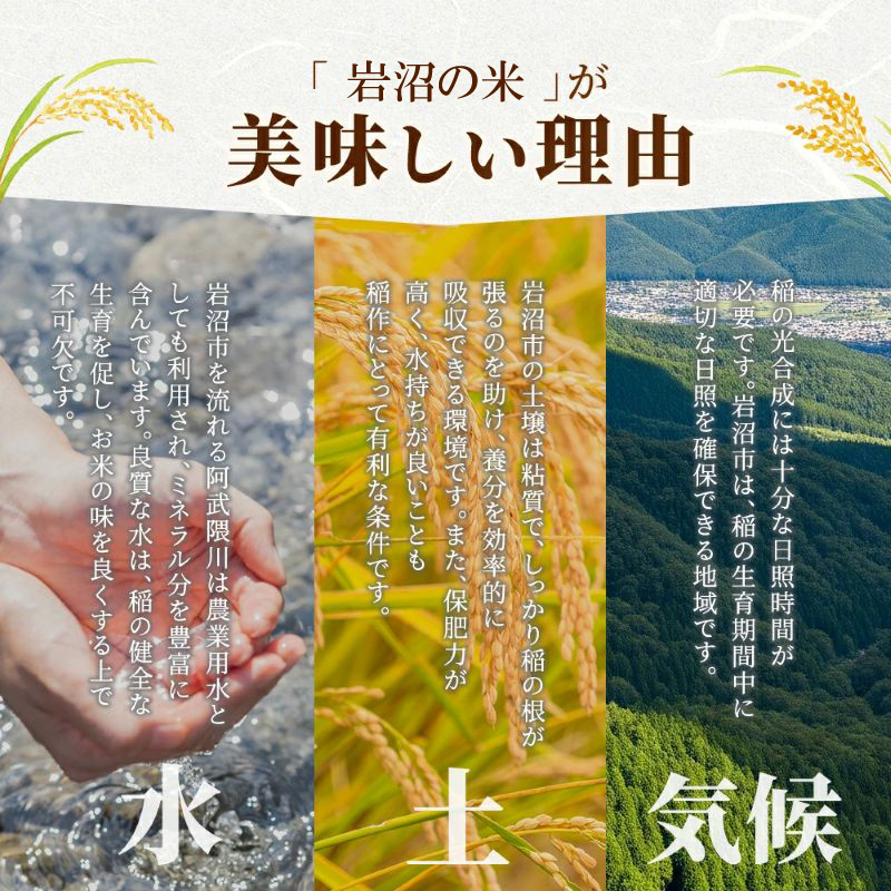 【 令和8年産 】 新米 宮城県産 ササニシキ 精米 5kg 先行予約