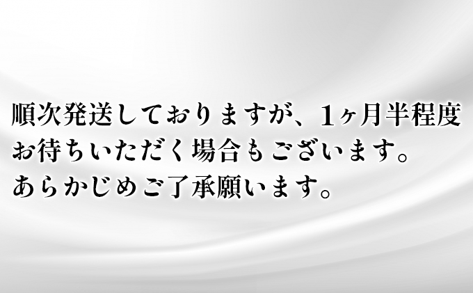 スコッティ フラワーボックス 60箱 (5箱×12パック) ティッシュ