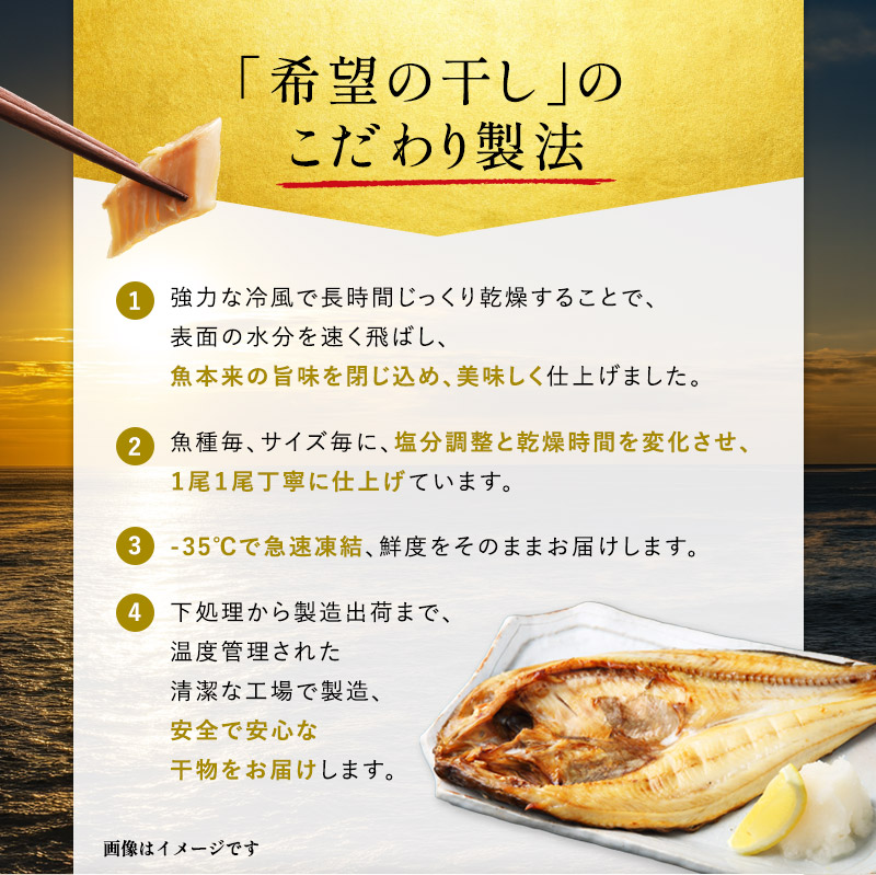 『希望の干し』 厳選 干物 Aセット 詰め合わせ ひもの