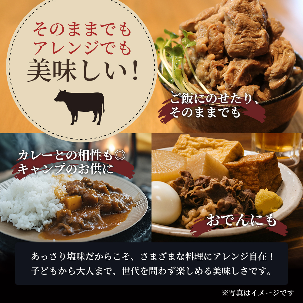 牛すじ煮込み 3kg ( 300g × 10個 ) セット 詰め合わせ 仙台牛 国産牛 国産牛肉 牛肉 肉 牛すじ
