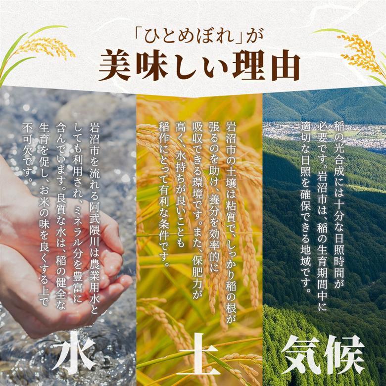 【令和7年産新米/6ヶ月連続定期便】 ひとめぼれ 10kg×6回 米 岩沼産 お米 白米 精米