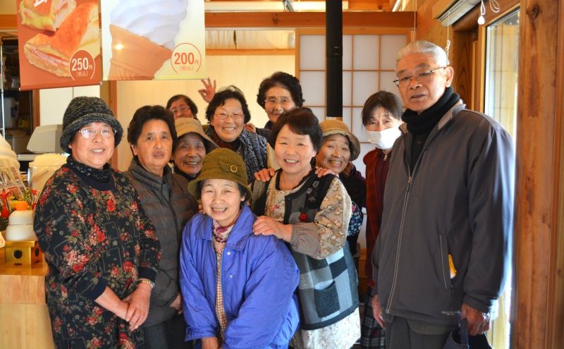 【定期便3ヶ月】宮城県 岩沼産 産地直送 朝どれ 新鮮野菜 4～5種類 詰め合わせセット 野菜4～5種類×3か月