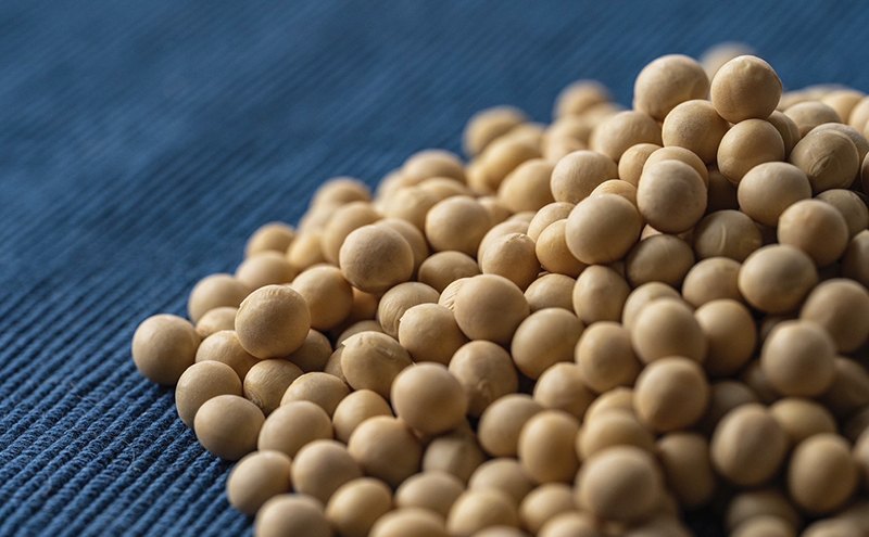 なめらか 豆乳プリン 3個 セット 詰め合わせ 国産大豆 ミヤギシロメ