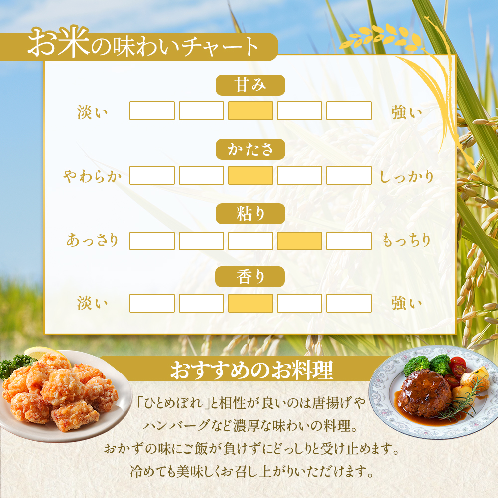 【令和7年産新米/6ヶ月連続定期便】 ひとめぼれ 10kg×6回 米 岩沼産 お米 白米 精米