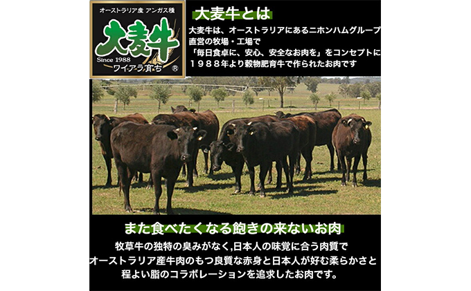 ローストビーフ 500g (250g×2) セット 無添加 グレインフェッドビーフ