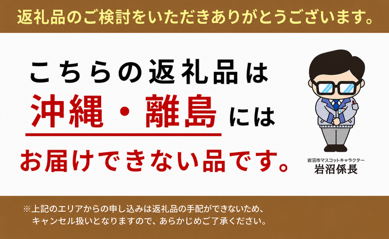 【定期便3ヶ月】宮城県 岩沼産 産地直送 朝どれ 新鮮野菜 4～5種類 詰め合わせセット 野菜4～5種類×3か月