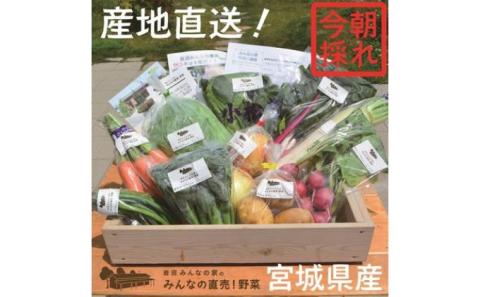 朝どれ 野菜セット 8～10個 詰め合わせ みんなの直売! 野菜