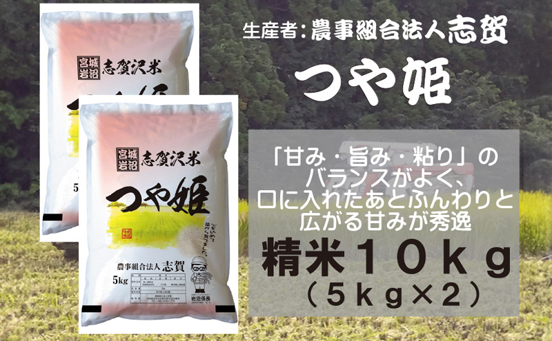 【10月受付再開予定/令和7年産】米 つや姫 10kg (5kg×2) 志賀沢米 岩沼産 お米 白米 精米 ブランド米 単一原料米 5キロ 10キロ こめ コメ おこめ ご飯 ライス つやひめ 宮城県産つや姫 東北 宮城県産 宮城県 岩沼市