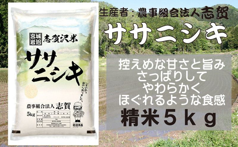 【令和7年産】米 ササニシキ 5kg 志賀沢米 岩沼産 お米 白米 精米 ブランド米 単一原料米 5キロ こめ コメ おこめ ご飯 ライス ささにしき 宮城県産ササニシキ 東北 宮城県産 宮城米 宮城 宮城県 岩沼市