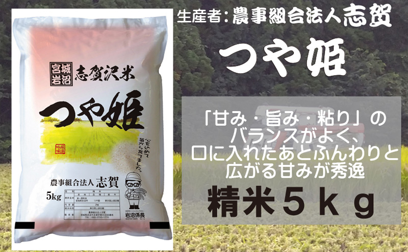 【令和7年産】米 つや姫 5kg 志賀沢米 岩沼産 お米 白米 精米 ブランド米 単一原料米 5キロ こめ コメ おこめ ご飯 ライス つやひめ 宮城県産つや姫 東北 宮城県産 宮城米 グルタミン酸 アスパラギン酸 宮城 宮城県 岩沼市