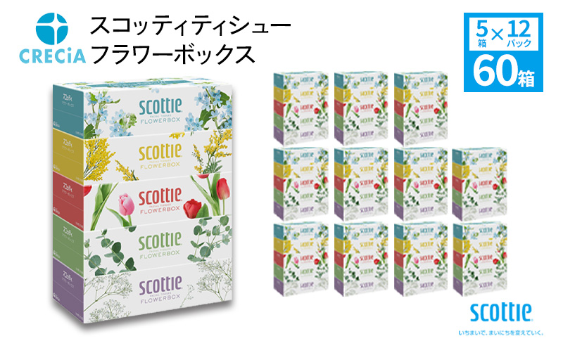 スコッティ フラワーボックス 60箱 (5箱×12パック) ティッシュ