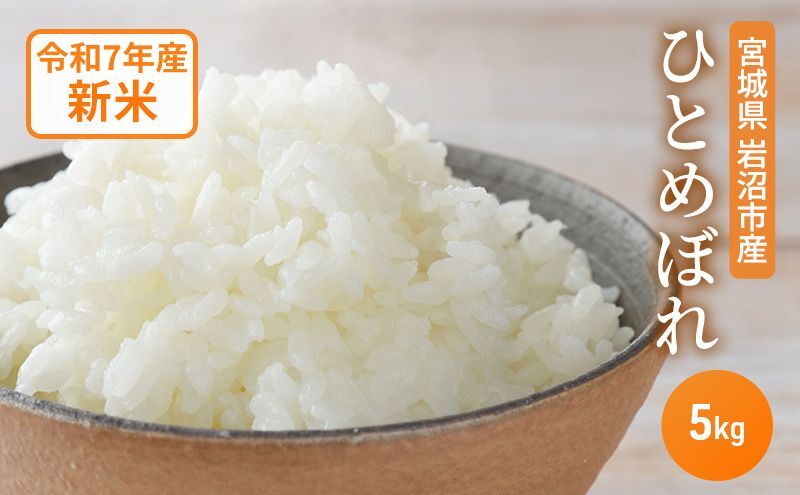 ひとめぼれ 5kg 米 令和7年産 宮城県産 お米 精米