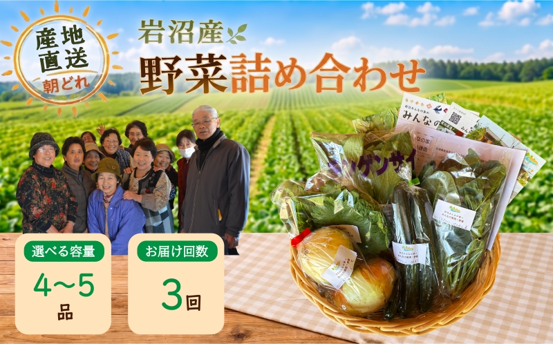 【定期便3ヶ月】宮城県 岩沼産 産地直送 朝どれ 新鮮野菜 4～5種類 詰め合わせセット 野菜4～5種類×3か月