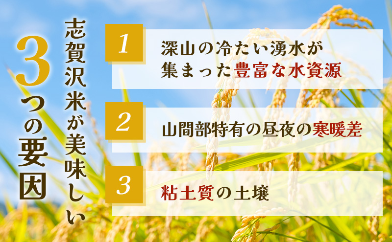 【令和7年産】レトルト ひとめぼれ 志賀沢米レンジアップごはん20個セット 常温 常温保存 レトルト食品 パックご飯 パックごはん ごはん ご飯 宮城 岩沼