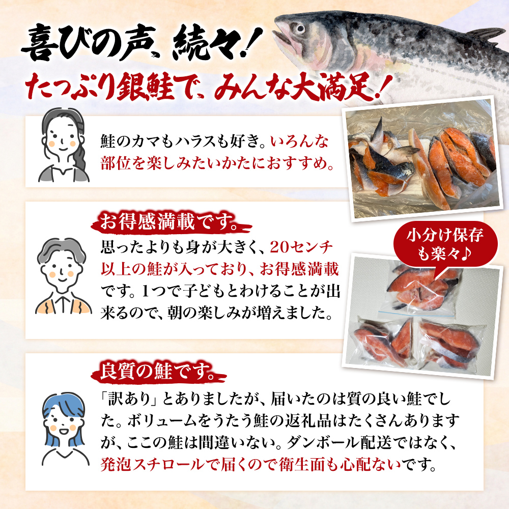 【 12ヶ月 連続 定期便 】訳あり 銀鮭 切り身 1.4kg セット 詰め合わせ 鮭 サケ