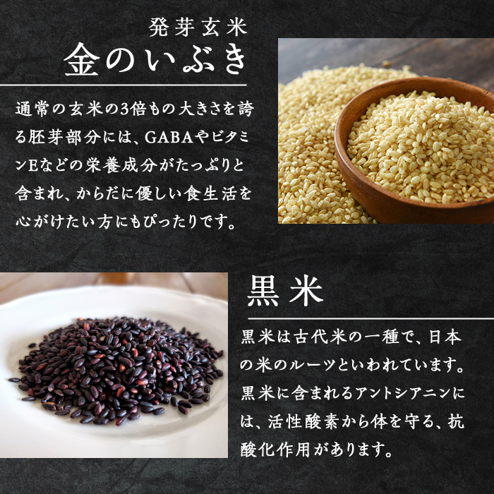 発芽玄米パックご飯3種セット 150g×16パック 金のいぶき つや姫 ササニシキ 発芽玄米 黒米 発芽玄米 レンジ 有機栽培 パックライス ご飯 米 レンチン 【有機農園ファーミン株式会社】 tm114