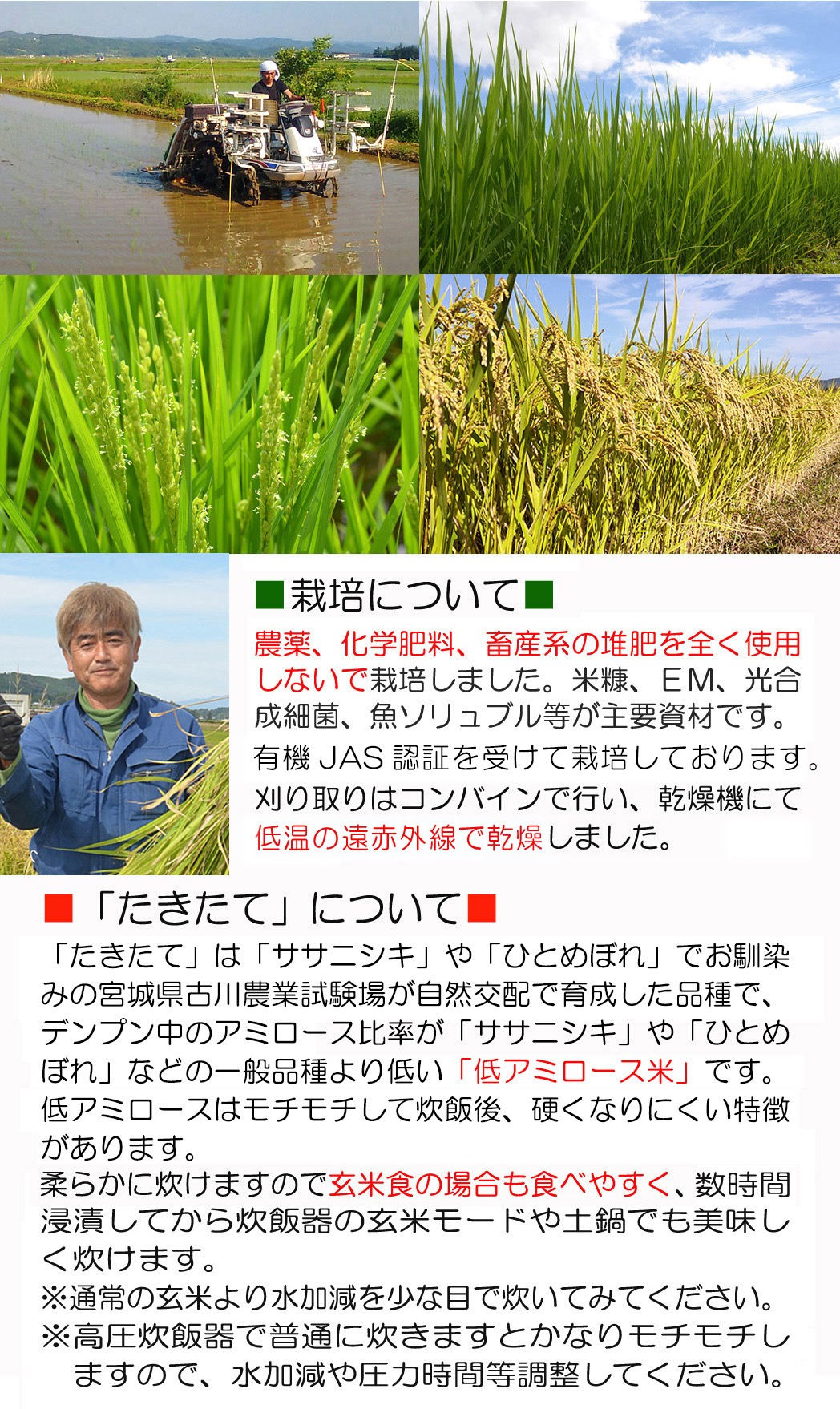 ≪2025年産・新米≫ たきたて 有機玄米 5kg 低アミロース米 有機JAS認証 米 こめ コメ ご飯 ごはんおにぎり お弁当 宮城米 うるち米【有機農園ファーミン株式会社】tm125