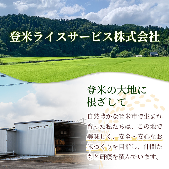 ≪令和7年産≫ ササニシキ 10kg (5kg×2袋) 登米市産 お米 おこめ 米 コメ ささにしき 白米 ご飯 ごはん おにぎり お弁当 【登米ライスサービス株式会社】tm149