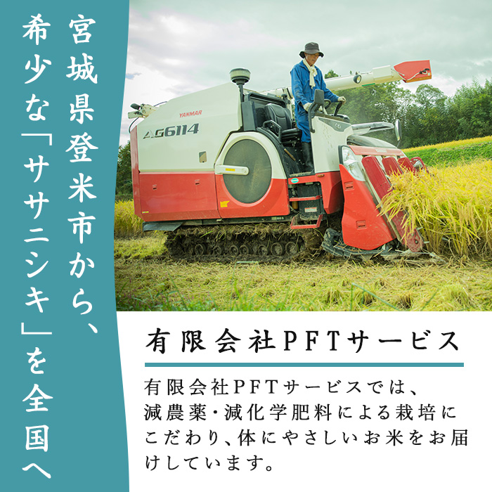 ≪6ヶ月定期便≫ 登米市産 ササニシキ 60kg (10kg×6回) お米 おこめ 米 コメ 白米 ご飯 ごはん おにぎり お弁当 頒布会【有限会社PFTサービス】tm479