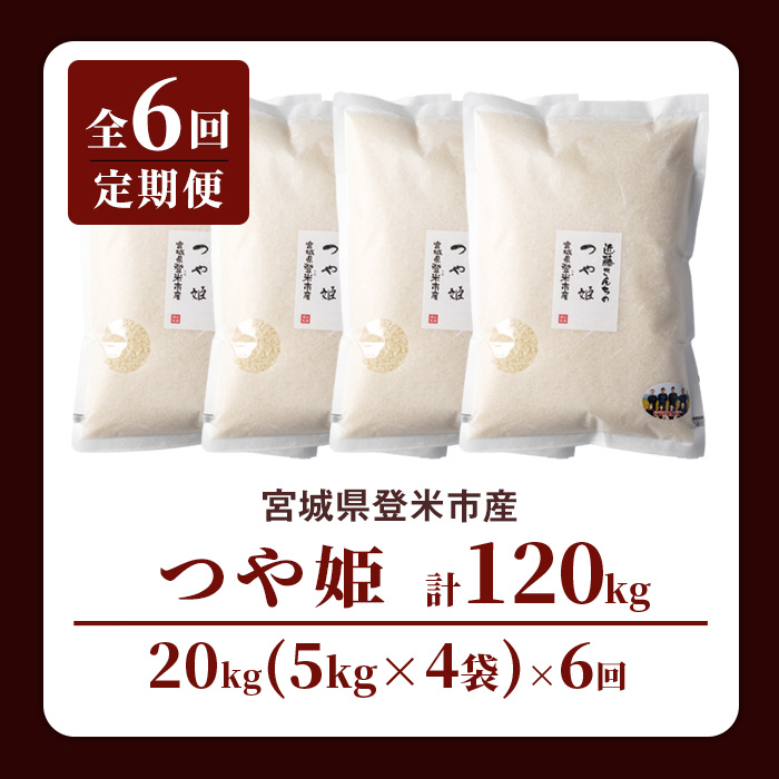 【6回定期便】≪令和7年産≫ つや姫 精米 計120kg(20kg×6回) 宮城県登米市産 お米 おこめ 米 コメ 白米 ご飯 ごはん おにぎり お弁当 6か月 頒布会【株式会社近藤農産】tm506
