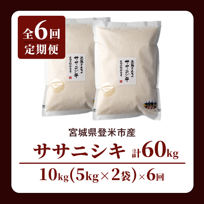 【6回定期便】≪令和7年産≫ ササニシキ 精米 計60kg(10kg×6回) 宮城県登米市産 お米 おこめ 米 コメ 白米 ご飯 ごはん おにぎり お弁当 6か月 頒布会【株式会社近藤農産】tm510