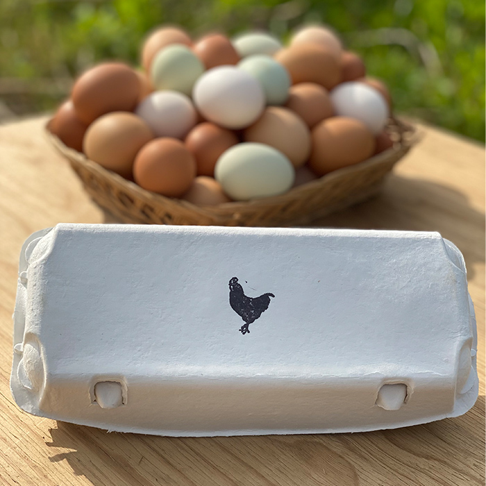 鶏とわたしの平飼い玉子 30個(10個入り×3パック) たまご 卵 卵焼き 生卵 ゆで卵 卵かけごはん 鶏卵 鶏 平飼い 【鶏とわたし】tm545