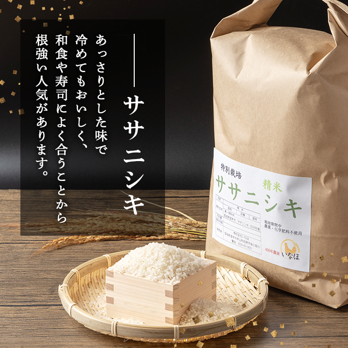 ≪令和7年産≫ 登米市産 ササニシキ 5kg×1袋 特別栽培米 農薬・化学肥料不使用 精米 お米 おこめ 米 コメ 白米 ご飯 ごはん おにぎり お弁当 【株式会社いなほ】tm550