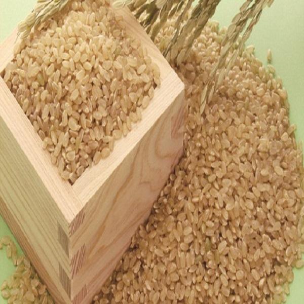 こだわりの登米産ミルキークイーン玄米３０ｋｇ一等米: 登米市ANAの