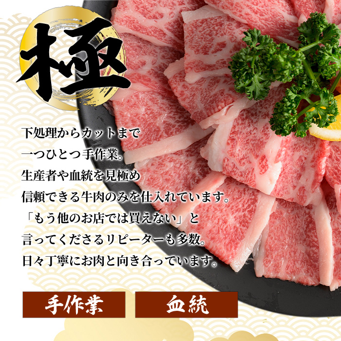 仙台牛 モモ あみ焼き用 約500g 登米市産 牛肉 お肉 にく 宮城県産 国産 焼肉 バーベキュー【有限会社小竹精肉店】tm011