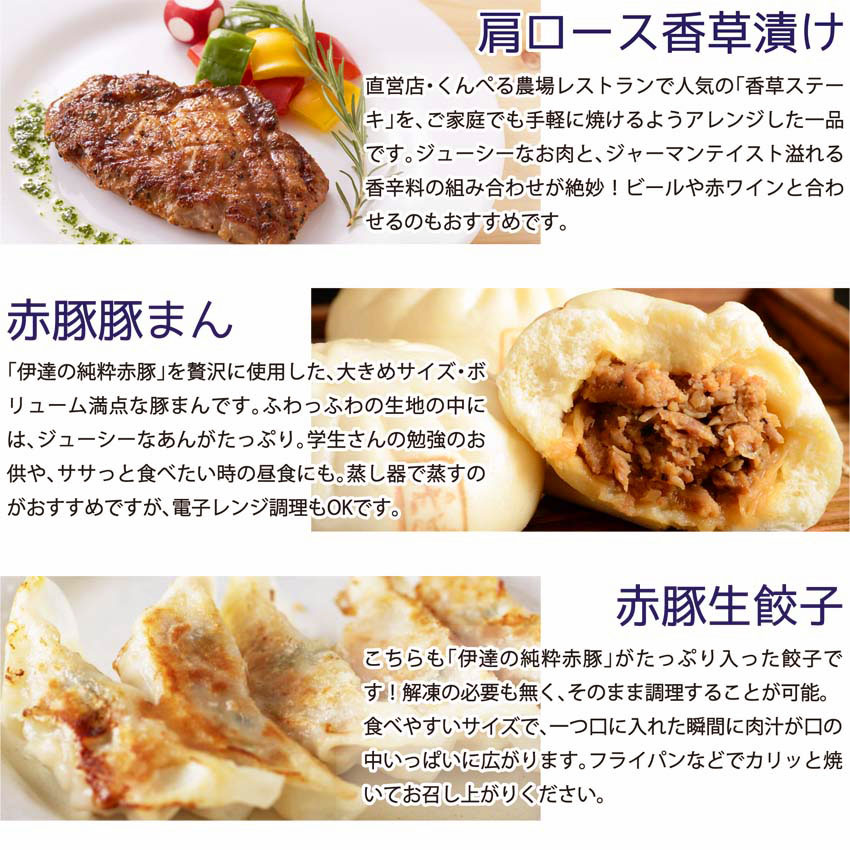 冷凍惣菜詰合せ10種セット 16品＜味付け肉4種・豚まん・生餃子・煮込みハンバーグ2種・直火焼きハンバーグ2種＞ 宮城県産 豚 豚肉 肉 お肉 簡単調理 時短 ストック おかず 惣菜【有限会社伊豆沼農産】 tm033