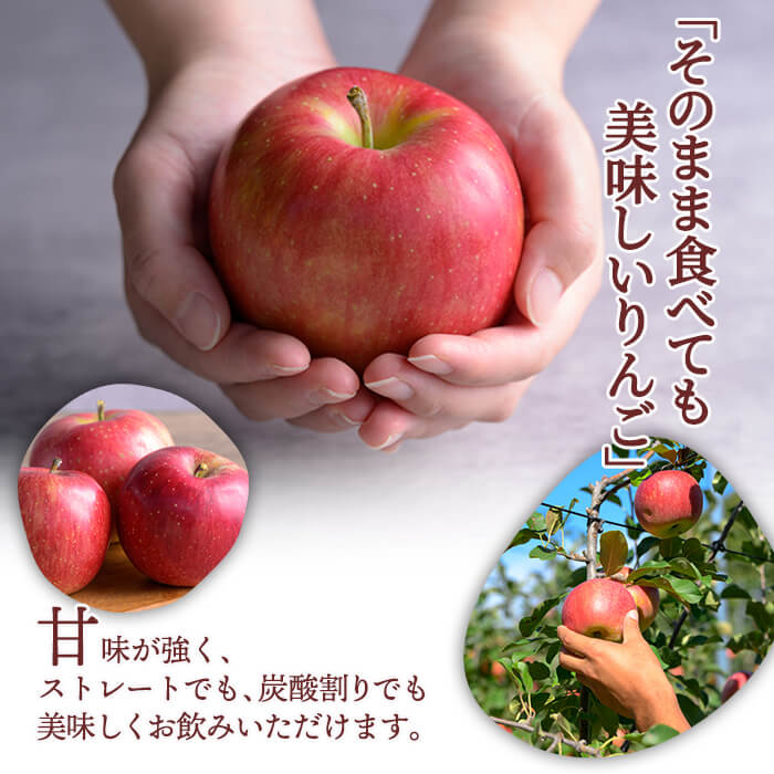 ≪登米市産りんご100%使用≫ りんごジュース 4本セット (1000ml×4本) りんご リンゴ 林檎 ジュース リンゴジュース 飲み物 飲料 フルーツ 果物 水分補給 ドリンク 【協同組合産直なかだ愛菜館】tm222