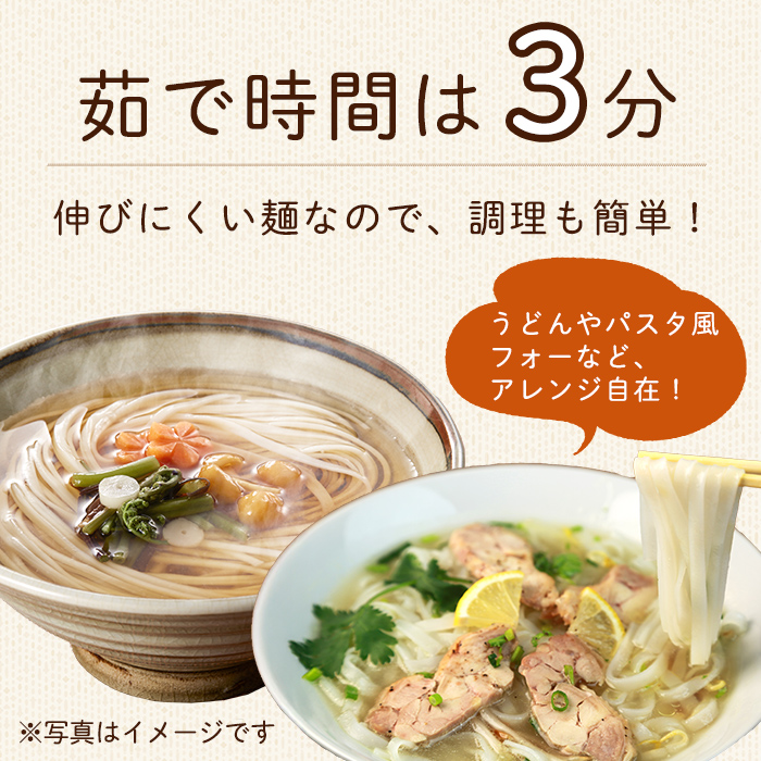 登米の米粉めん 120g×10食 玄米麺 グルテンフリー 小麦不使用 米粉めん 有機ササニシキ使用 ダイエット 小分け 国産 うどん 焼きそば 中華 そうめん パスタ ラーメン 麺【株式会社いなほ】 tm263