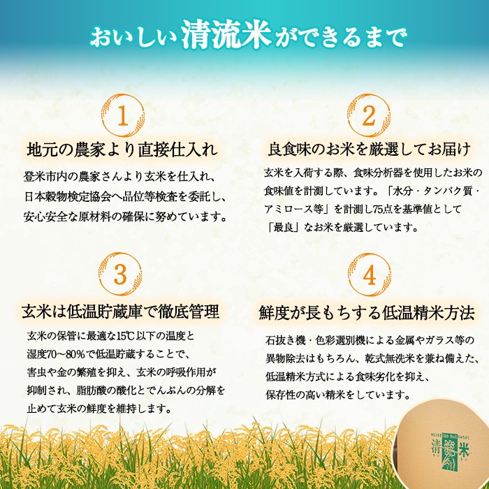＜3ヵ月定期便＞ 令和8年産 ひとめぼれ 合計30kg (10kg×3回) 宮城県登米市産 お米 おこめ 米 コメ 白米 ご飯 ごはん おにぎり お弁当 ブランド米 頒布会【ライス宮城株式会社】tm294-R8