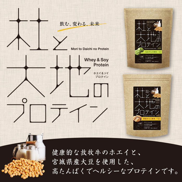 杜と大地のプロテイン 2種セット (2種×各500g) ＜仙台ずんだ風味・黒蜜きなこ風味＞ トレーニング 筋トレ タンパク質 常温 水分補給 ドリンク ジム 国内製造 加工食品 【UGOQ株式会社】 tm333