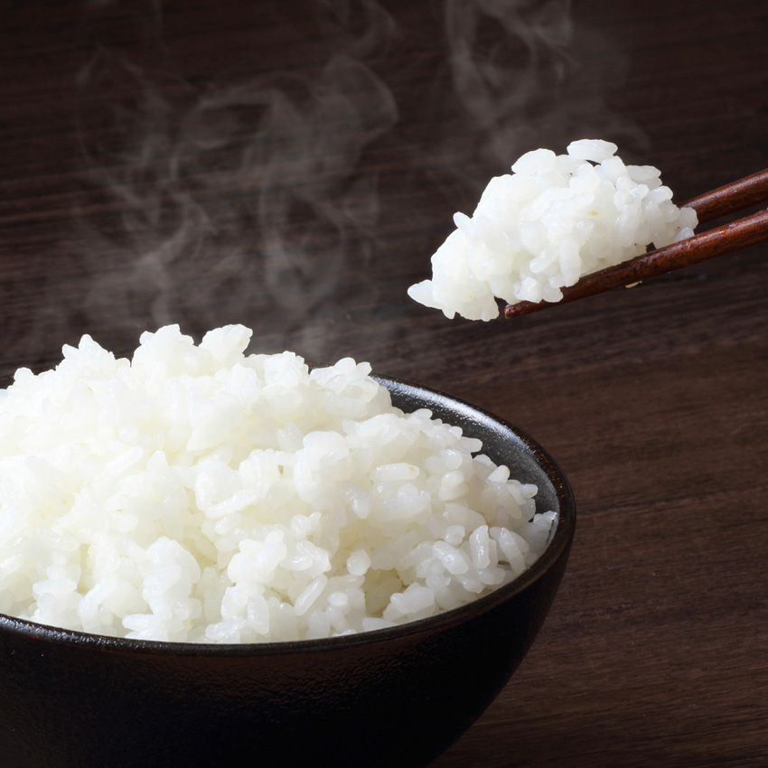 ≪令和7年産・新米≫ 宮城県登米市産 ひとめぼれ 10kg 精米 お米 おこめ 米 コメ 白米 ご飯 ごはん おにぎり お弁当 ブランド米【有限会社伊豆沼農産】tm405