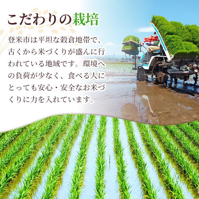 ≪令和7年産≫【6回定期便】ササニシキ 計60kg (10kg×6回配送) 登米市産 お米 おこめ 米 コメ 白米 ご飯 ごはん おにぎり お弁当 6か月 頒布会【登米ライスサービス株式会社】tm461